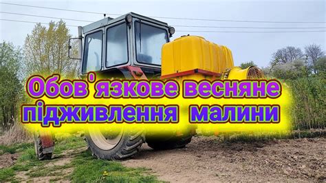 Підживлення малини, обприскування від шкідника. Чим обробляти малину ...