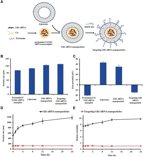 Preparation And Representation Of Targeting Gli Sirna Nanoparticles