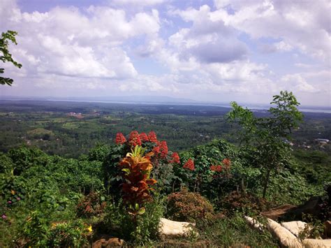 Hutan Punggualas Metamorfosis Wilayah Pembalakan Liar Jadi Obyek Wisata