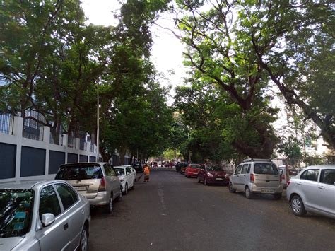 Infinix Hot Pro Review Gadgets