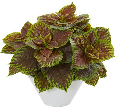 Charlton Home® 16 Artificial Foliage Plant In Planter Wayfair Canada