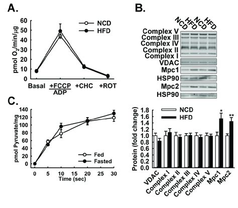 Figure S6 Related To Figure 6 Download Scientific Diagram