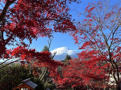 Mt Fuji 5storied Pagoda With Wagasa Japanese Parasol And Katana Lake