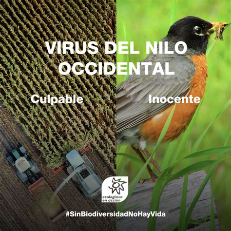 Biodiversidad y salud humana Ecologistas en Acción