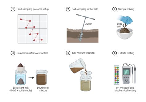 Soil Sampling Protocol BioRender Science Templates