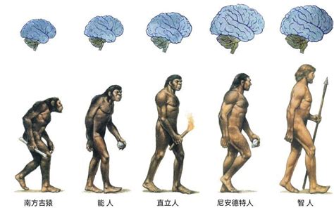 人类用了多少年进化出高级文明？为什么恐龙两亿年都没有实现？腾讯新闻