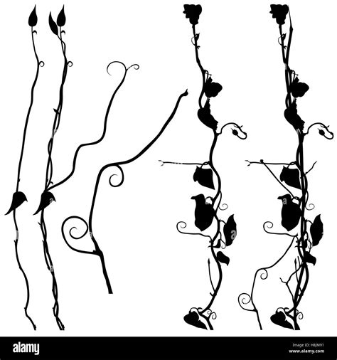 Weed Plants Silhouette Stock Vector Image And Art Alamy