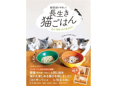 書籍「獣医師が考案した長生き猫ごはん」、世界文化社より刊行 2枚目の写真・画像 動物のリアルを伝えるwebメディア「reanimal」