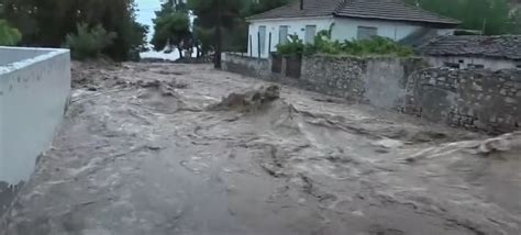 Membri Ai Unui Echipaj De Pe Un Feribot Grecesc Acuzati De Moartea