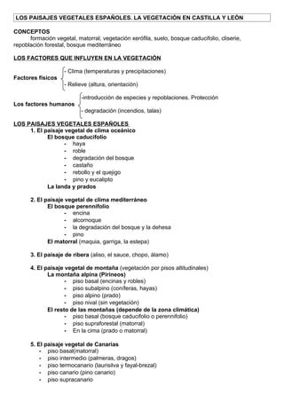 Esquema Vegetacion PDF