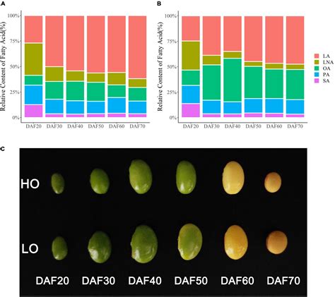 Frontiers Transcriptomic Analysis Reveals The Regulatory Networks And