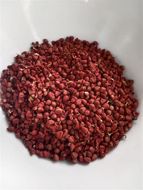 Achiote seeds - Bali Organic Center