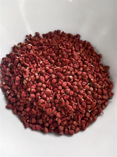 Achiote seeds - Bali Organic Center