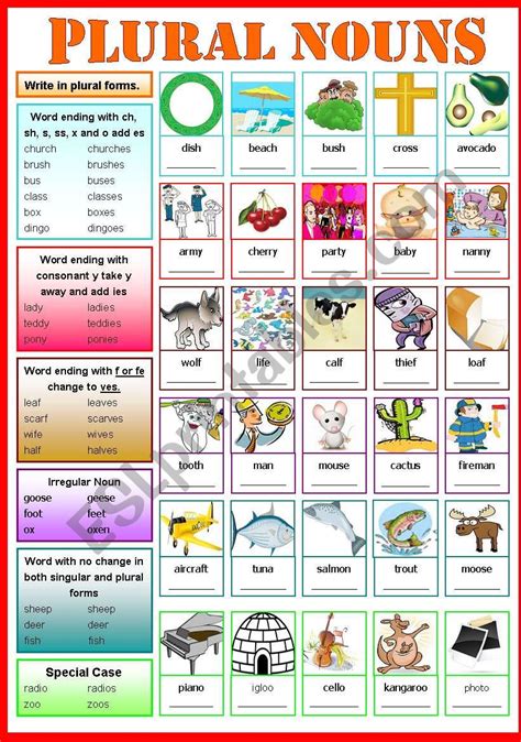 Plural Nouns Esl Worksheet By Shusu Euphe