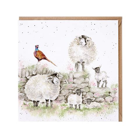 Wrendale Designs `green Pastures` Sheep Blank Greetings Card