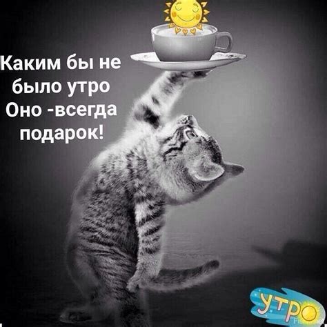 Pin von Лоринька 64 auf Доброе утро | Guten morgen lustig, Guten morgen ...