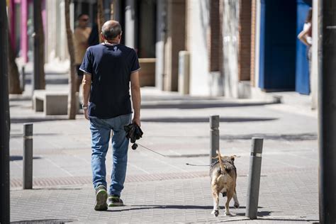 El Ayuntamiento De Vitoria Interpone Un Total De Cuatro Multas Por No