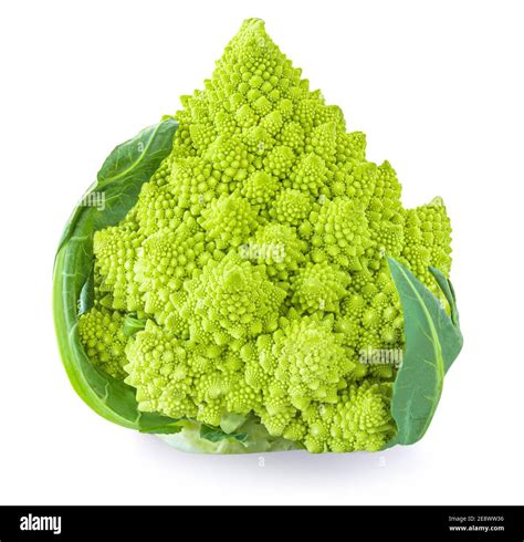 Romanesco Broccoli Isolated On White Background Roman Cauliflower