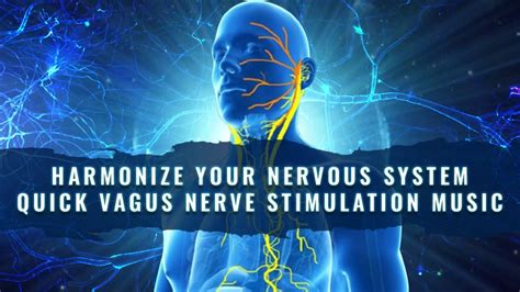 Vagus Nerve Stimulation Deep Relaxing Music Reset And Calm The Vagus