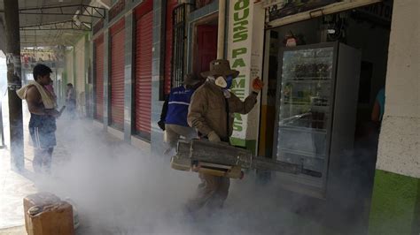 Brasil Supera Los Millones De Casos De Dengue El Quinto Elemento Tv