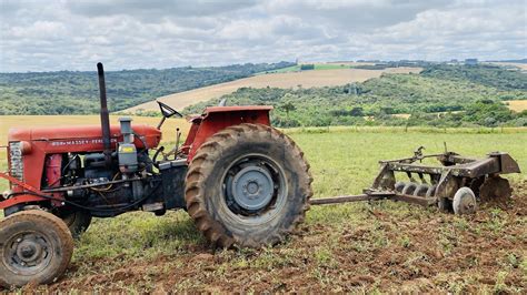 Trator Massey Ferguson 85x passando gradão para plantio de milho