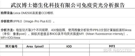 免疫组化IHC实验从入门要高阶一篇搞定 知乎