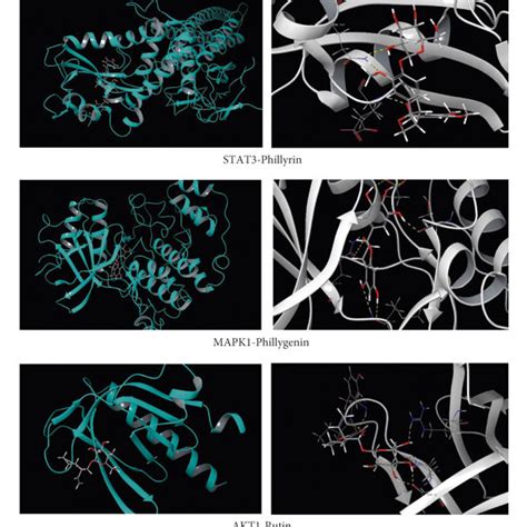 Molecular Docking Of Active Components Of Fsl With Core Targets The Download Scientific