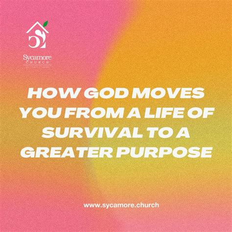 How God Moves You From A Life Of Survival To A Life Of Greater Purpose