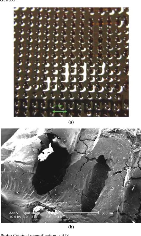 Figure From A Novel Sucrose Porogenbased Solid Freeform Fabrication