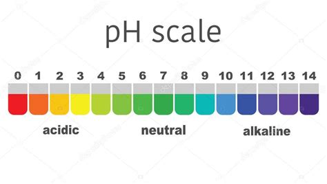 Escala De Valor Ph Para Soluciones Cidas Y Alcalinas Equilibrio Cido