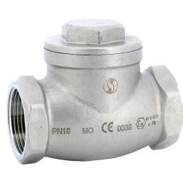 Stainless Steel CF8M Swing Check Valve 320 BSP Syveco