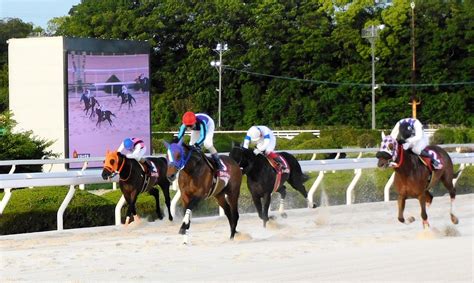 【地方競馬】ラッキードリームが兵庫大賞典初v 転入後の園田では5戦5勝 競馬ニュース Netkeiba