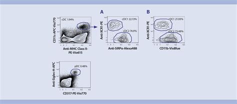 Flow Cytometry Dendritic Cells From Mouse Spleen Protocol