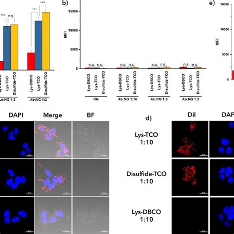 A Cytotoxicity And Ec Of Dm Ancs At A Varied Antibody To Nanogel