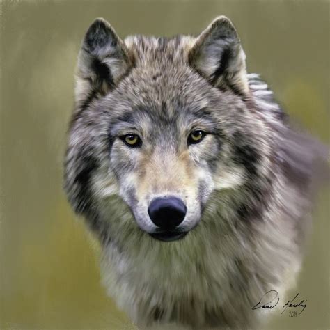 Oil Painting of Wolf | Animals, Art, Painting