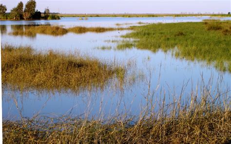 Farm Dams | Murray Wildlife