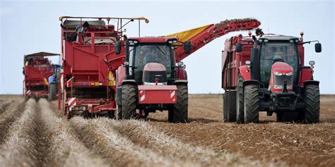 Comment la fermeture des bars et restaurants a obligé les agriculteurs