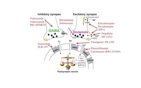 Briviact Brivaracetam Treatment Partial Onset Seizures2 Drug Development Technology