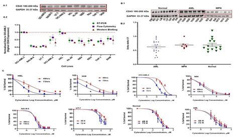 Assessment of CD45 expression on myeloid leukaemia cells and their ...