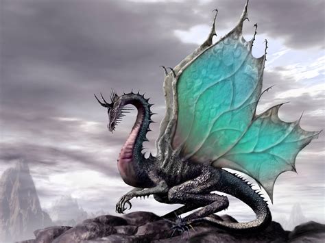 Medieval Dragon Wallpapers Top Free Medieval Dragon Backgrounds