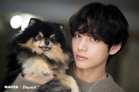 KOREA DISPATCH RELEASES PHOTOS & VIDEO OF V WITH YEONTAN | BTS Amino