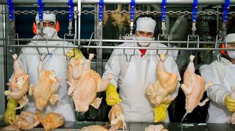 Vietnam Reabre Su Mercado A Las Exportaciones De Productos Av Colas