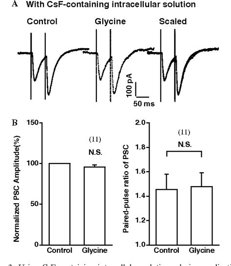 Figure 1 From Glycine Receptor Activation Regulates Short Term