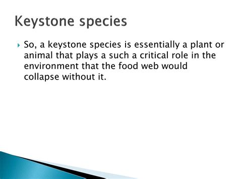 Ppt Keystone Species Powerpoint Presentation Free Download Id2664272