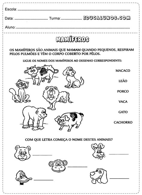 Atividades De Ci Ncias Ano Animais Atividades Pedag Gicas