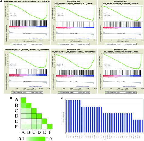 GSEA Of Gene Expression Profiling Of HCC A GO Enrichment Plot Of