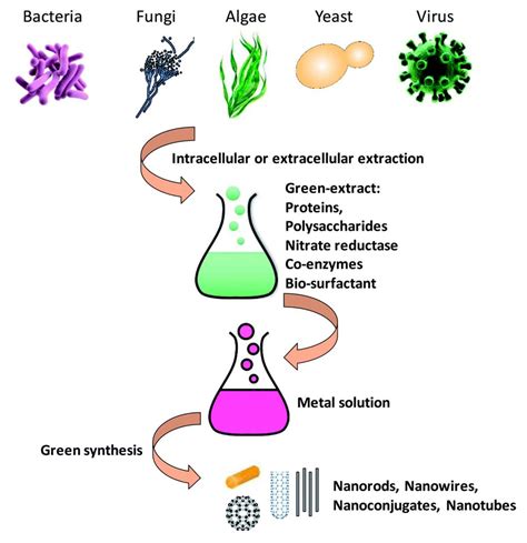 Ijms Free Full Text Synthesis Properties And Biological