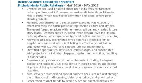 Account Fresher Resume Format Junior Account Executive Resume Samples