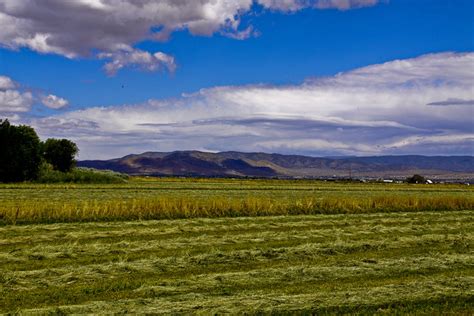 Nevada Agriculture Flickr Photo Sharing