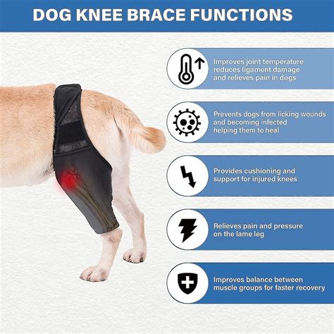 Dog Knee Brace Dog Leg Brace For Torn Acl Hind Leg Dog Hip Support